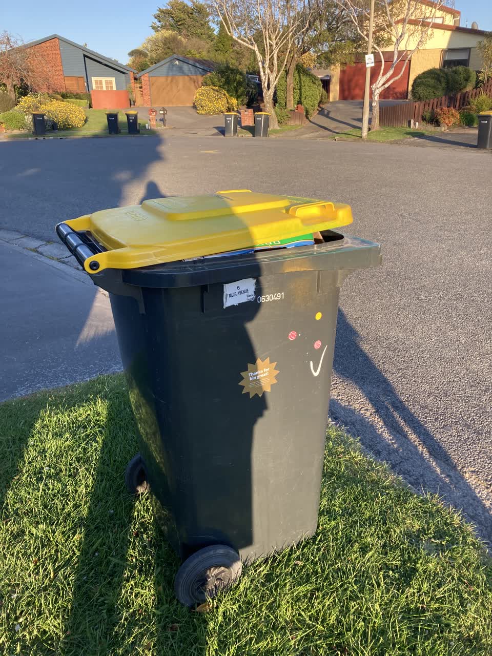 The photograph attached to this rubbish/recycling report