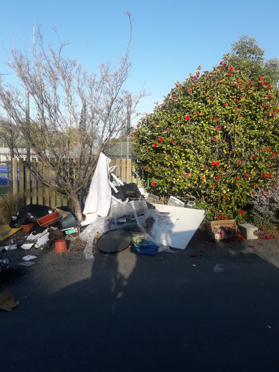 The photograph attached to this parks report