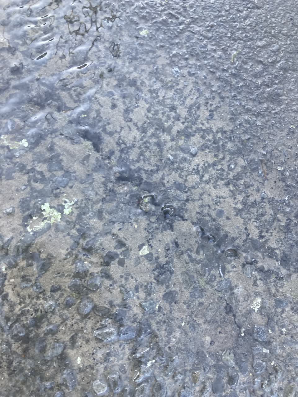 The photograph attached to this water leak report