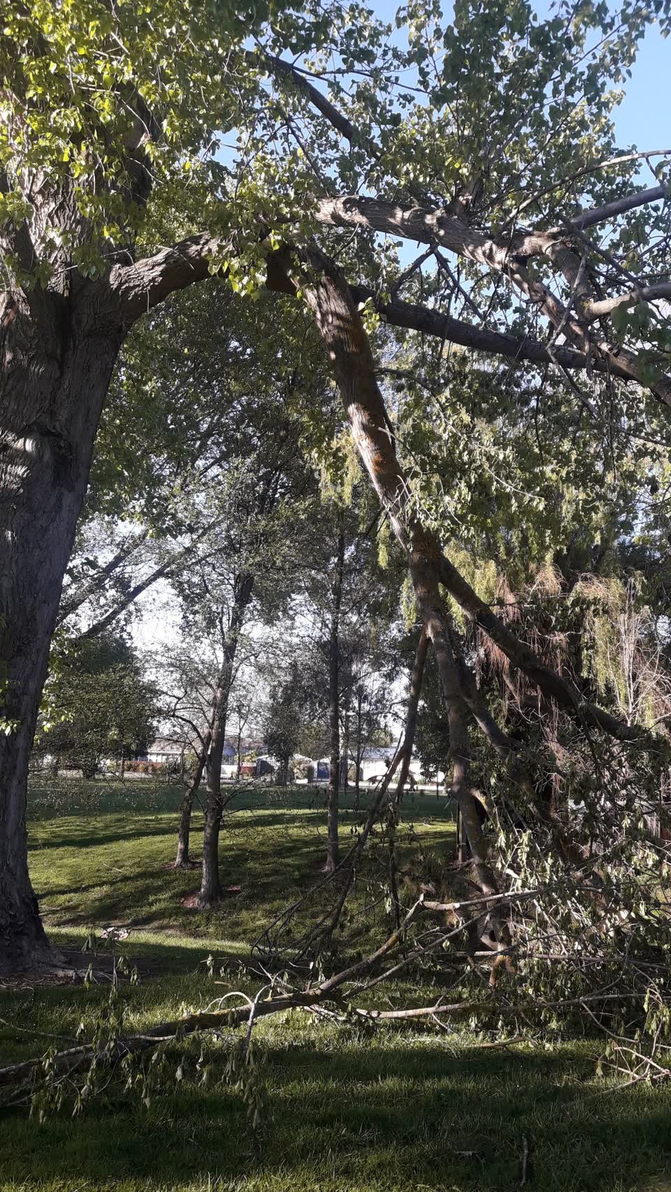 The photograph attached to this parks report