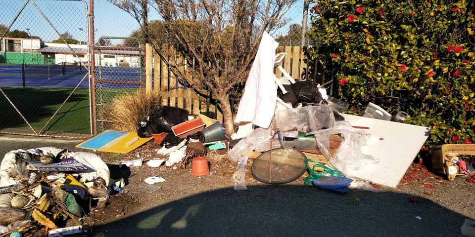 The photograph attached to this parks report