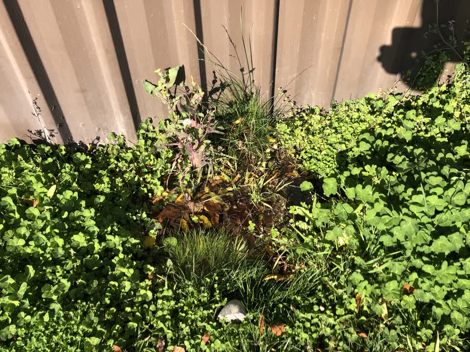 The photograph attached to this water leak report