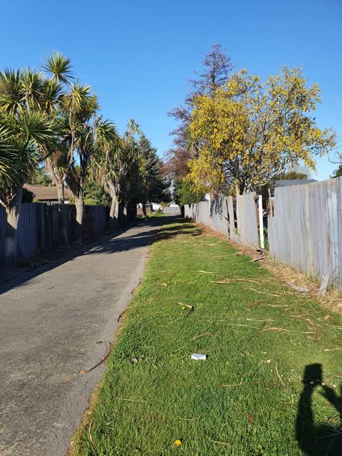 Parks — a report photo