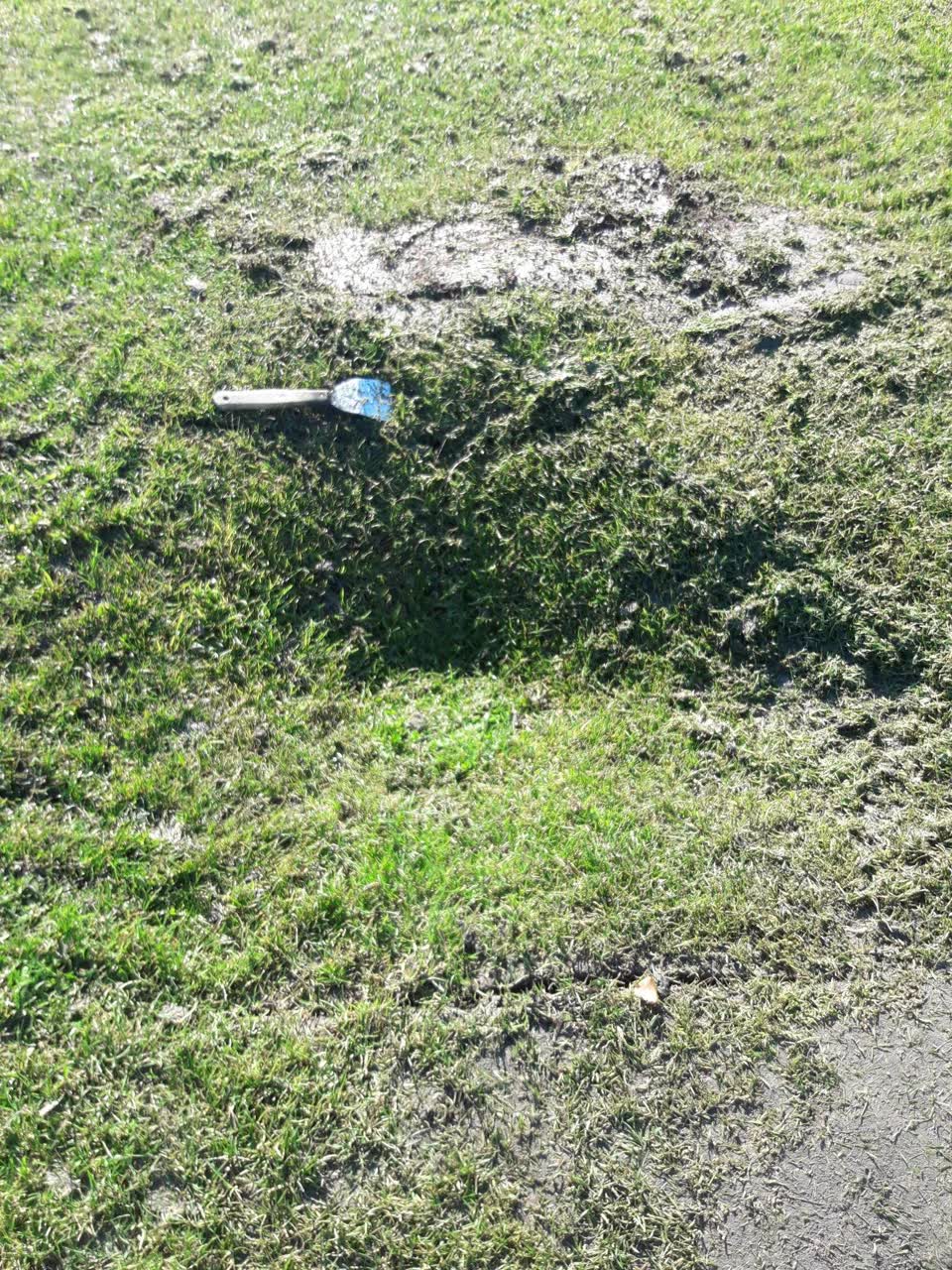 The photograph attached to this parks report