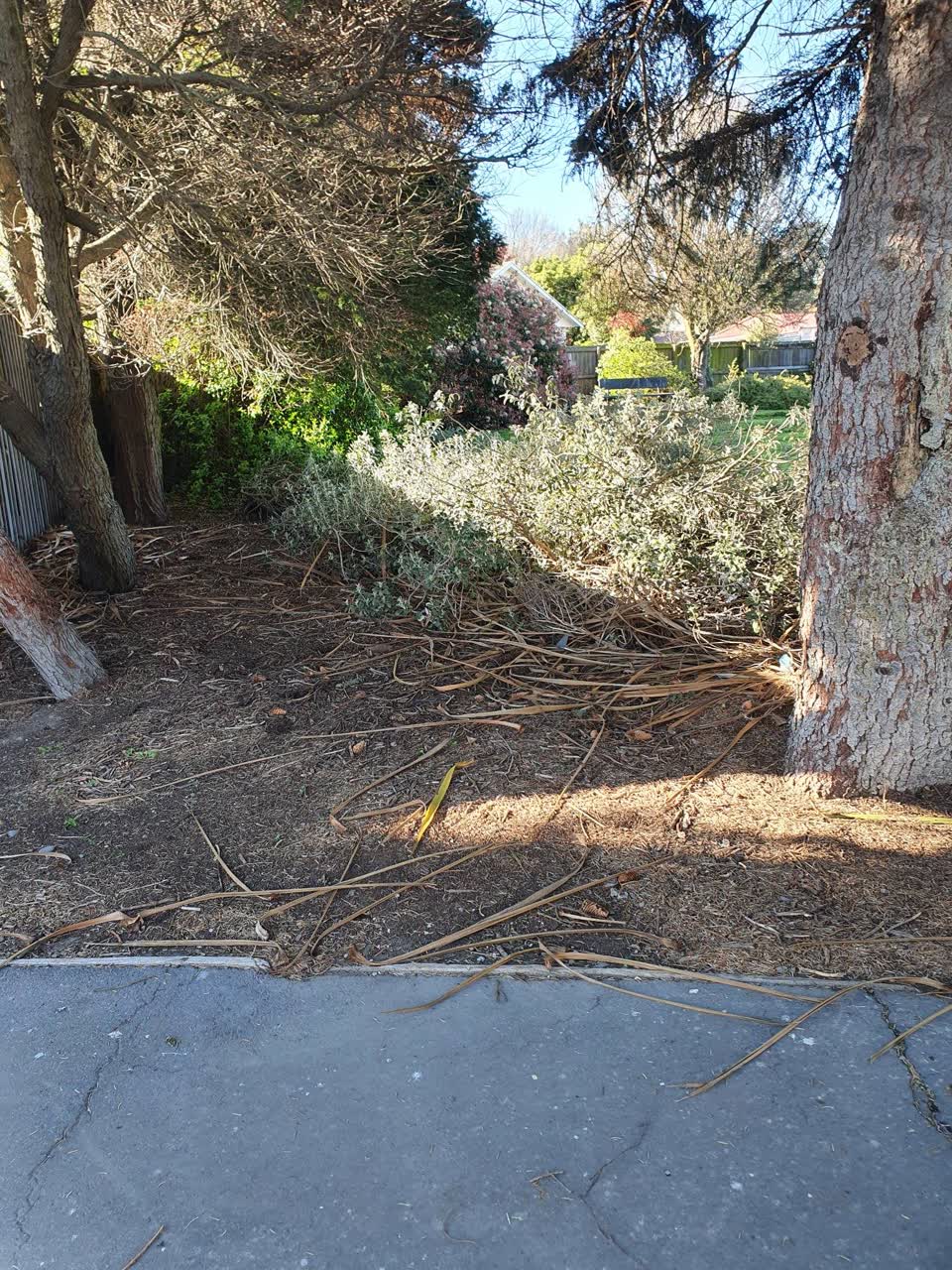 The photograph attached to this parks report