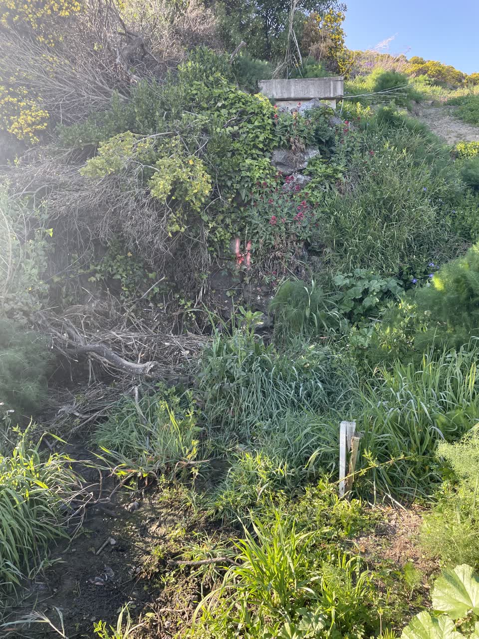 The photograph attached to this sewer odour report