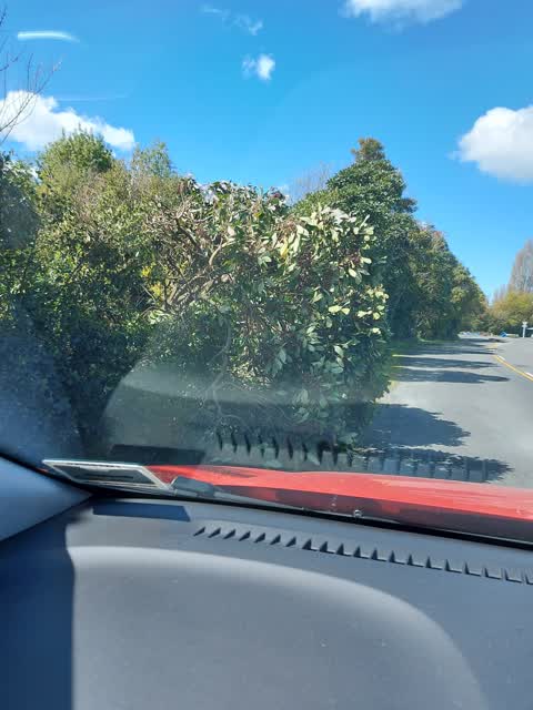 Roading/Streets, a report photo
