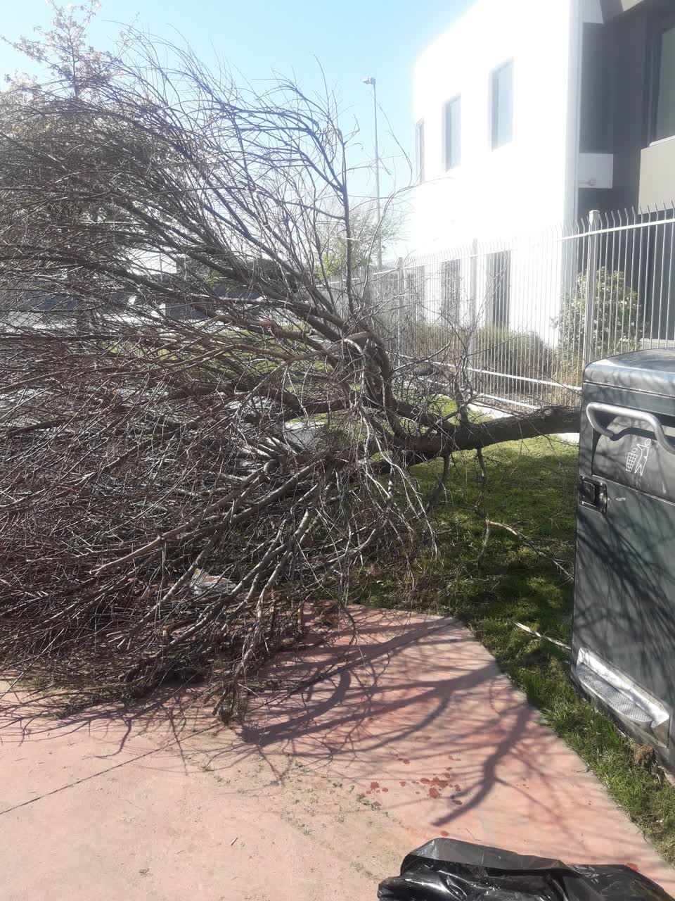The photograph attached to this parks report