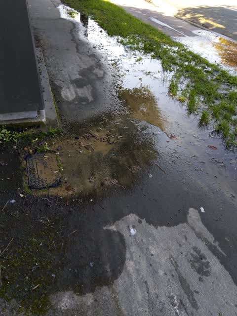 Water Leak, a report photo