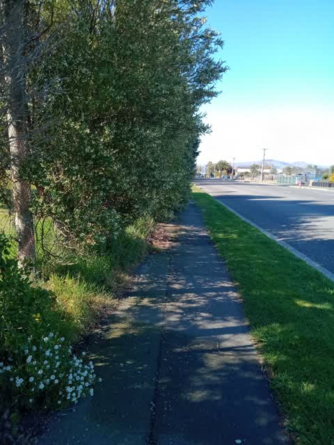 Roading/Streets, a report photo