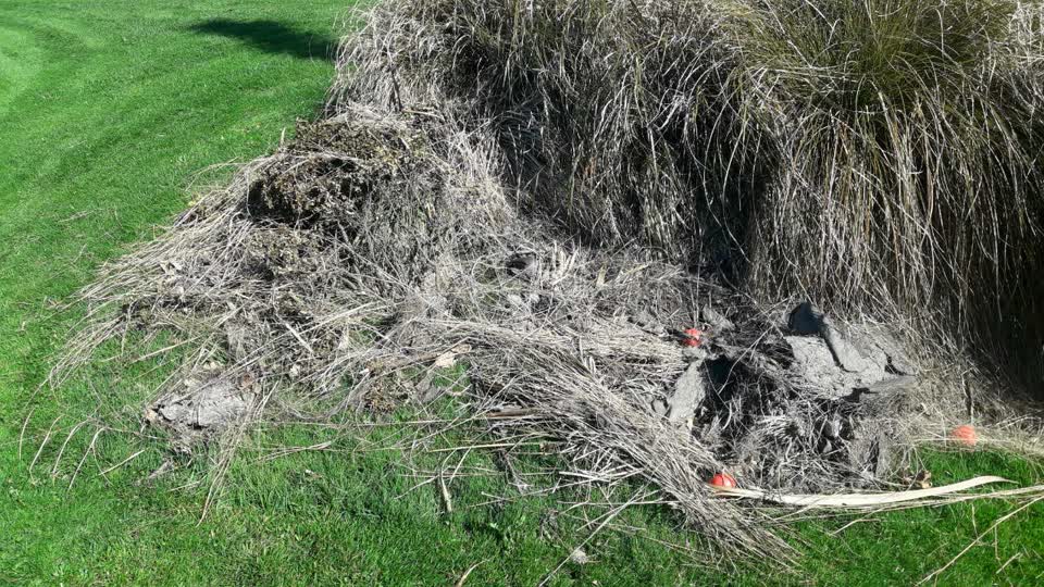 The photograph attached to this parks report