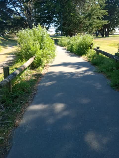 Parks, a report photo