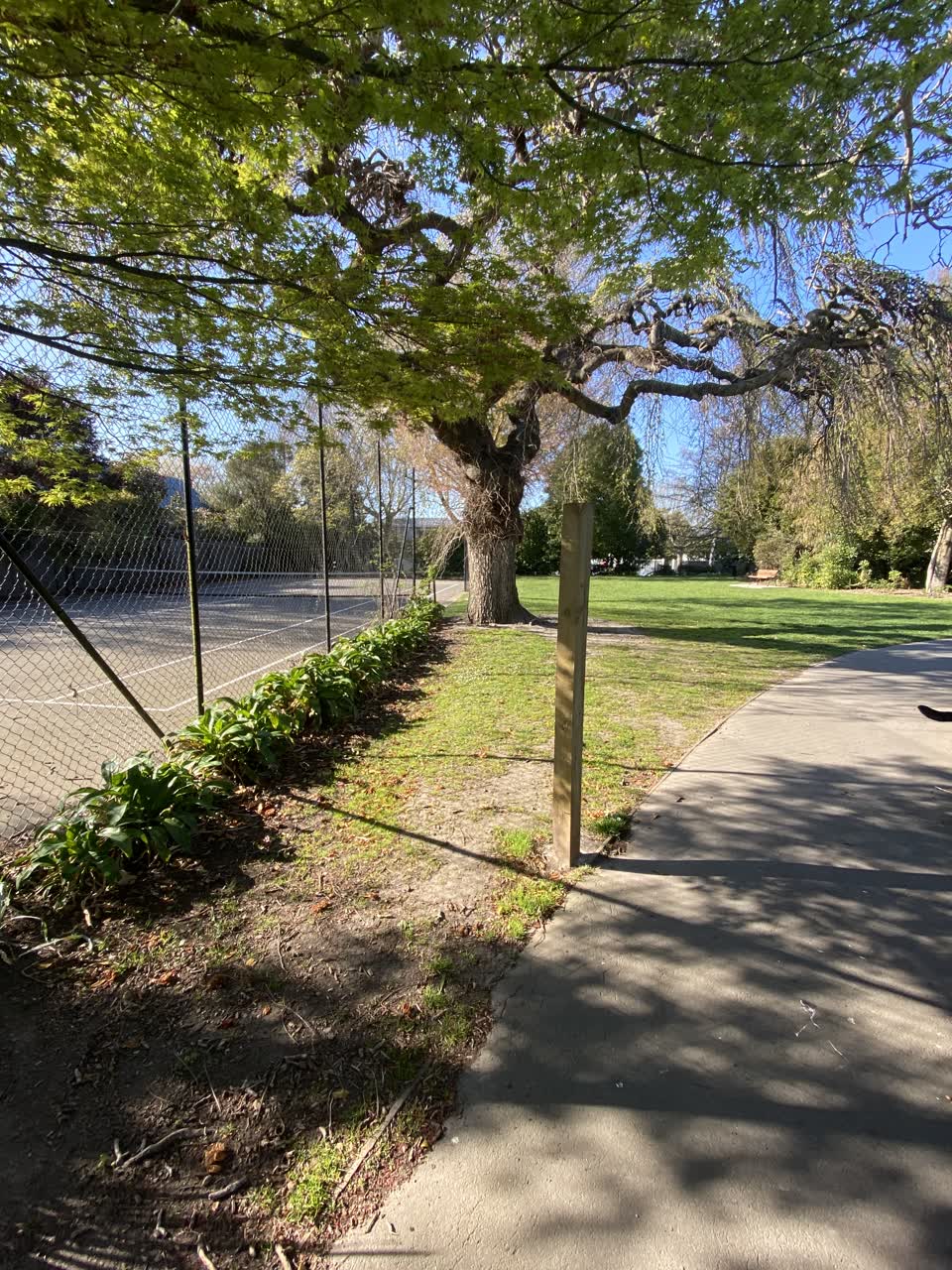 The photograph attached to this parks report