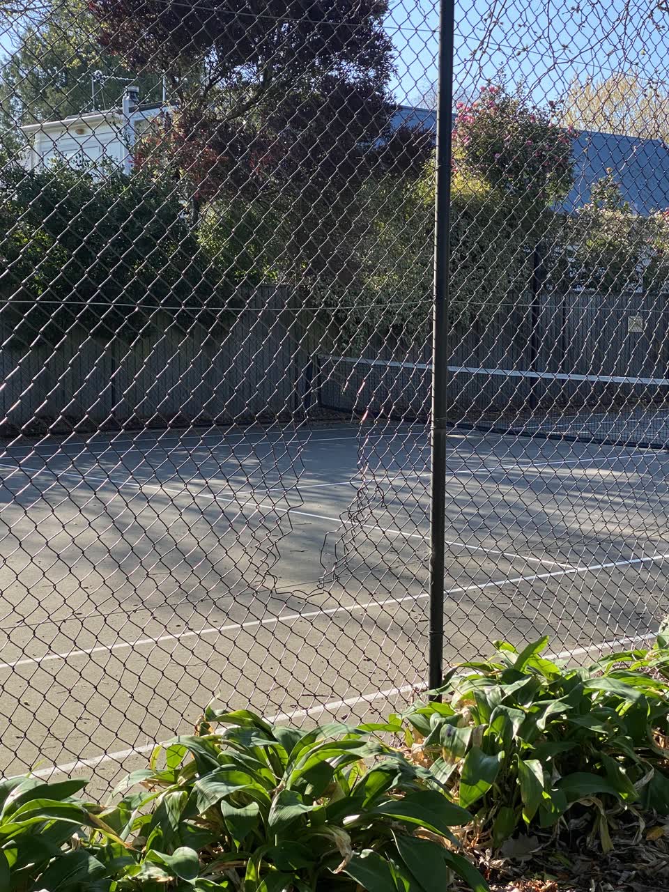 The photograph attached to this parks report