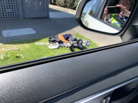 Rubbish/Recycling, a report photo