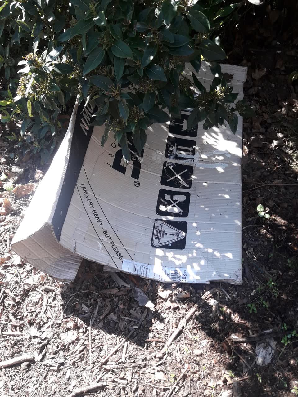 The photograph attached to this parks report