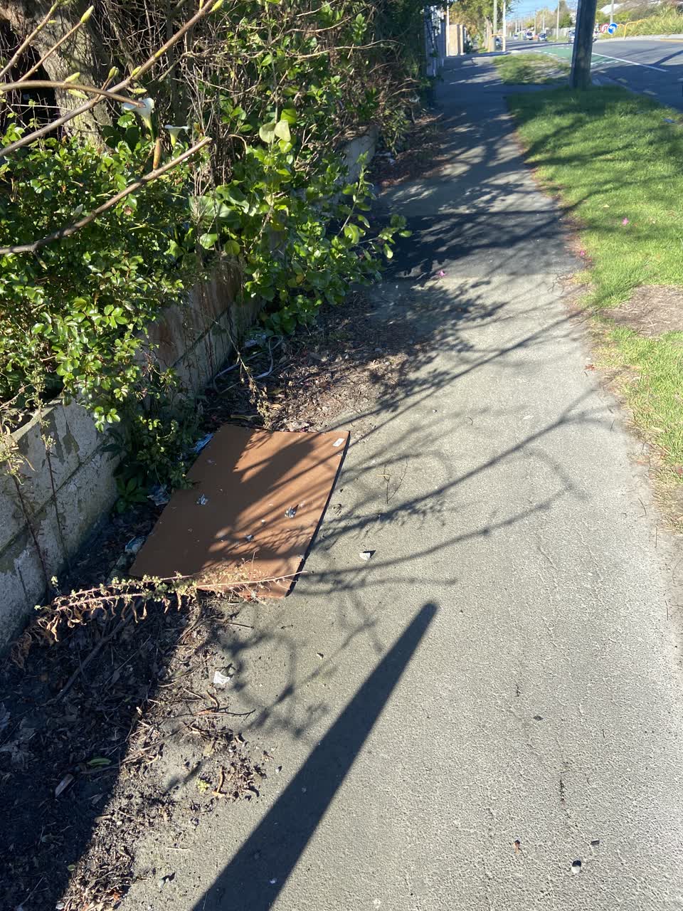The photograph attached to this rubbish/recycling report
