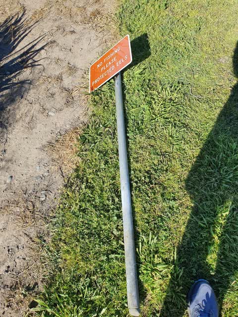 Parks — a report photo