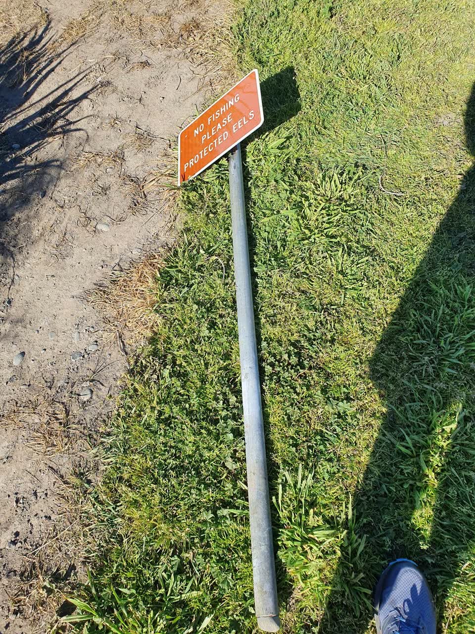 The photograph attached to this parks report