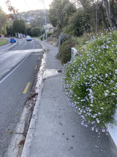 Water Leak, a report photo