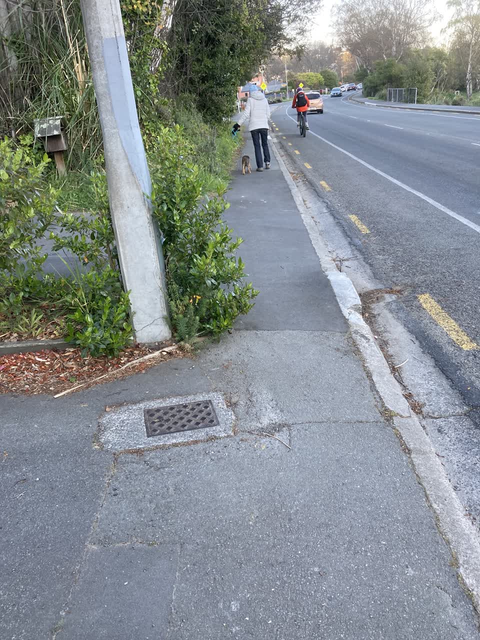 The photograph attached to this roading/streets report