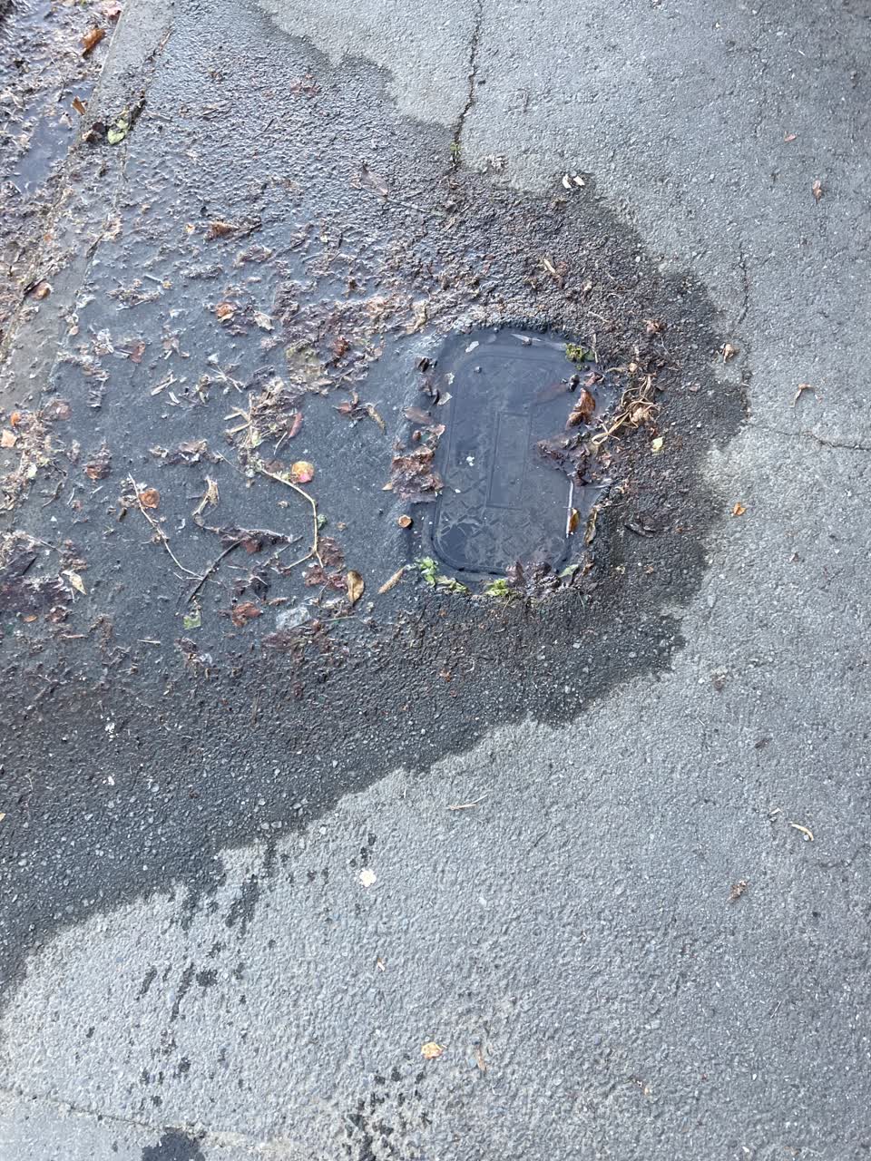The photograph attached to this water leak report