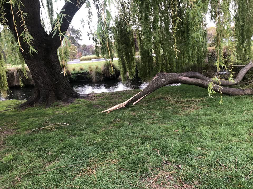 The photograph attached to this parks report
