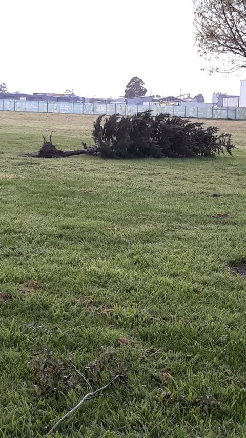 Parks, a report photo
