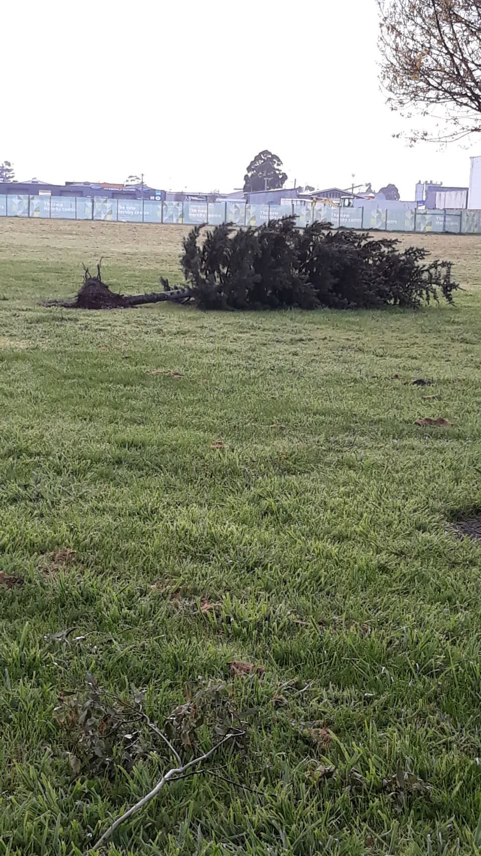 The photograph attached to this parks report