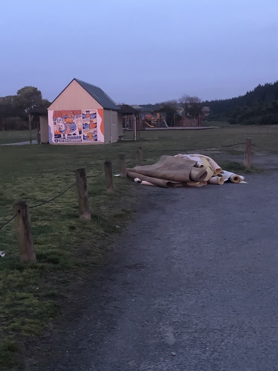 The photograph attached to this rubbish/recycling report
