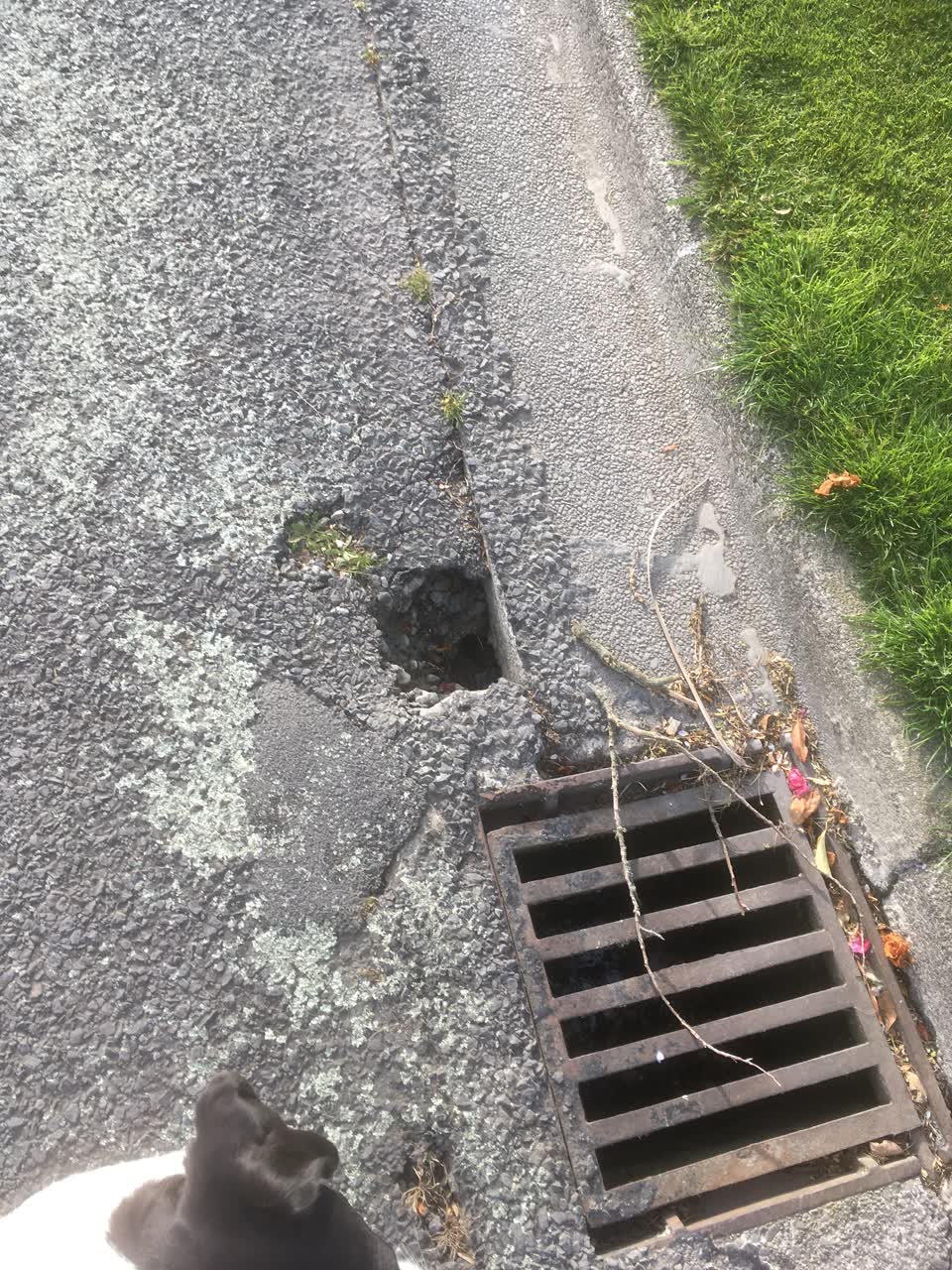 The photograph attached to this roading/streets report