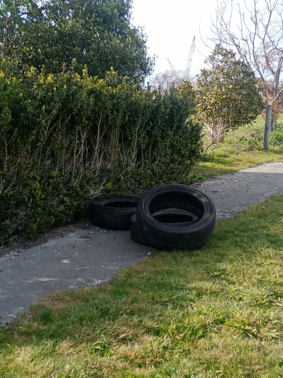 The photograph attached to this rubbish/recycling report