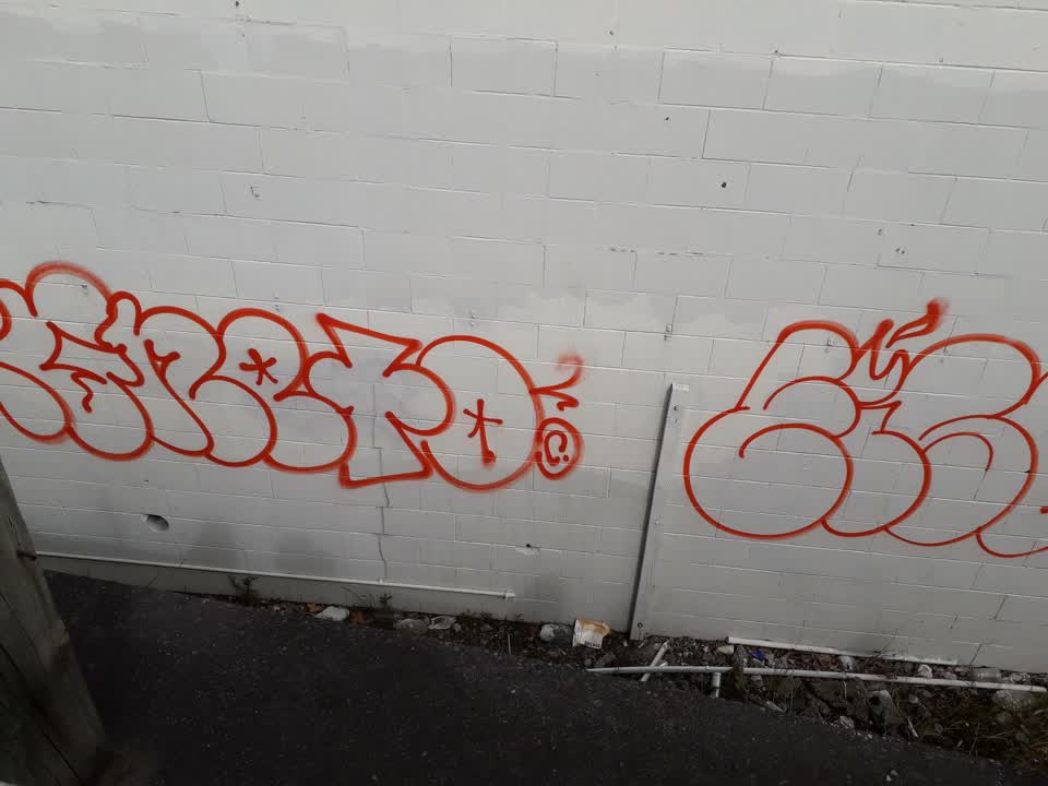 The photograph attached to this graffiti report