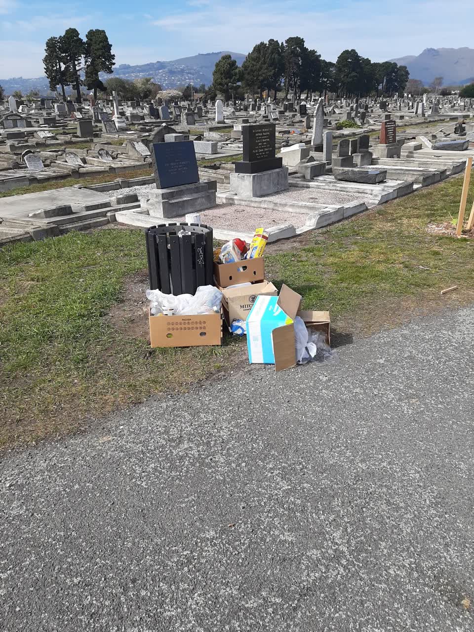 The photograph attached to this rubbish/recycling report