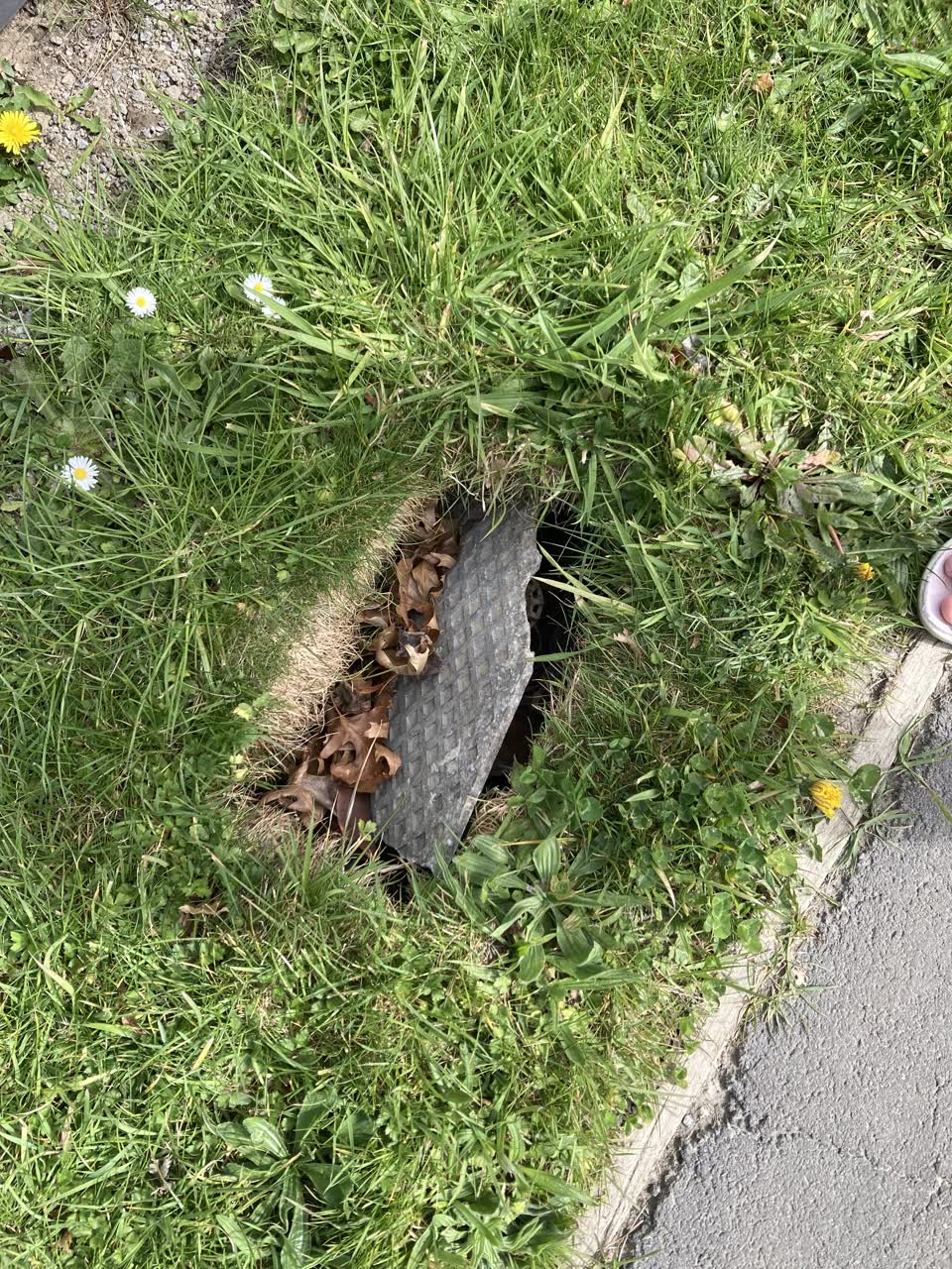 The photograph attached to this water supply report
