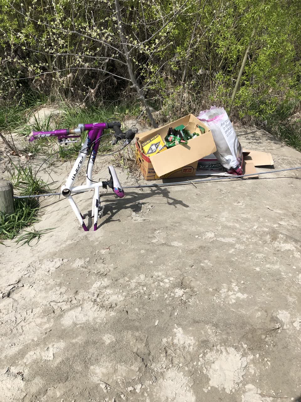 The photograph attached to this parks report