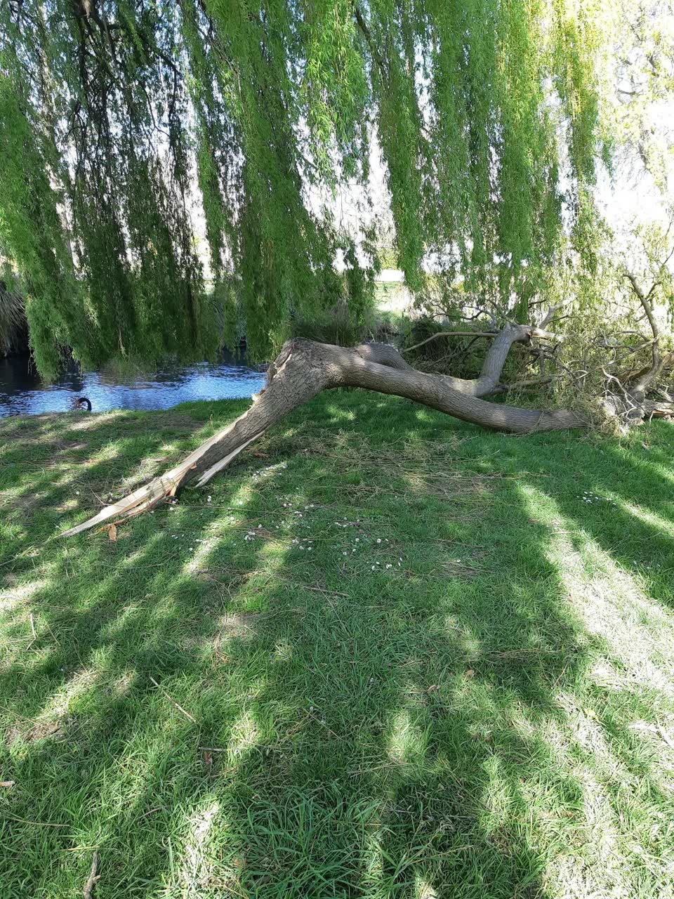 The photograph attached to this parks report