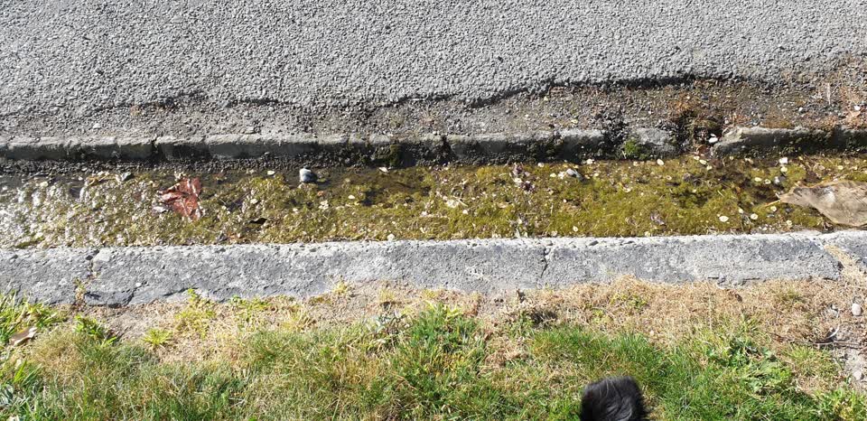 The photograph attached to this sewer - leak / blockage report