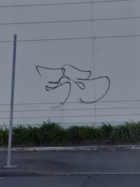 Graffiti, a report photo