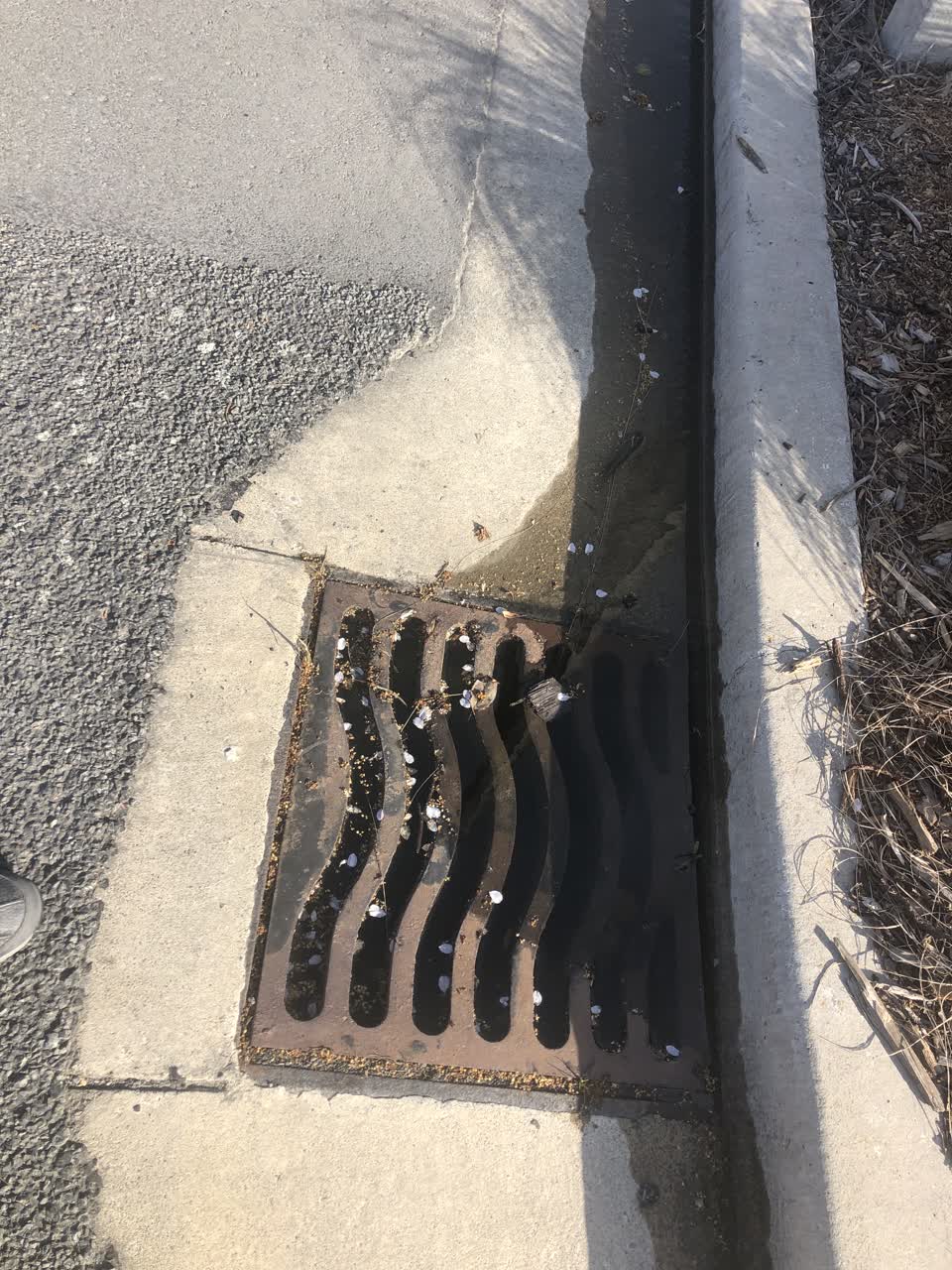 The photograph attached to this sewer - leak / blockage report