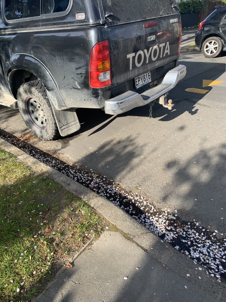 The photograph attached to this roading/streets report