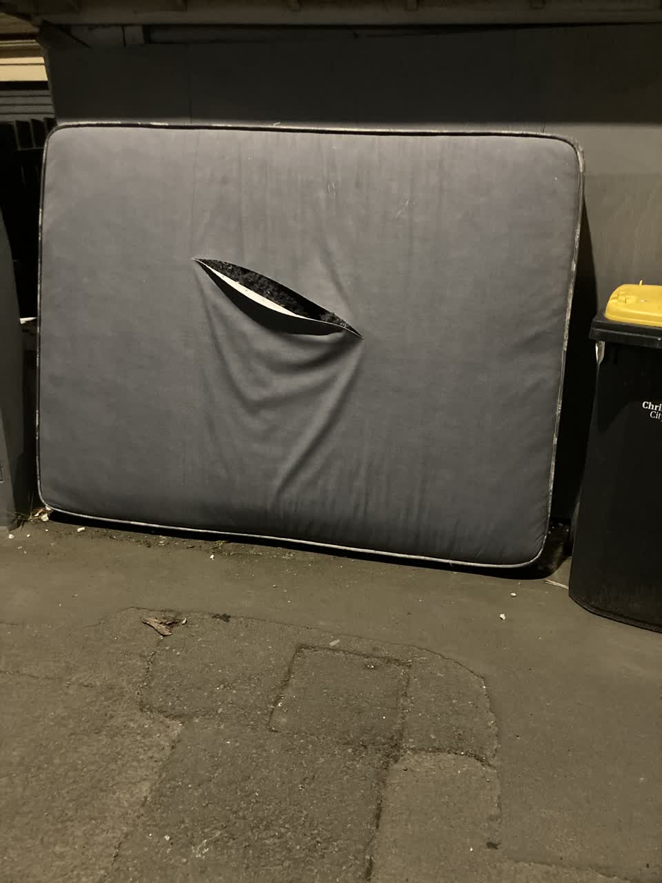 The photograph attached to this rubbish/recycling report