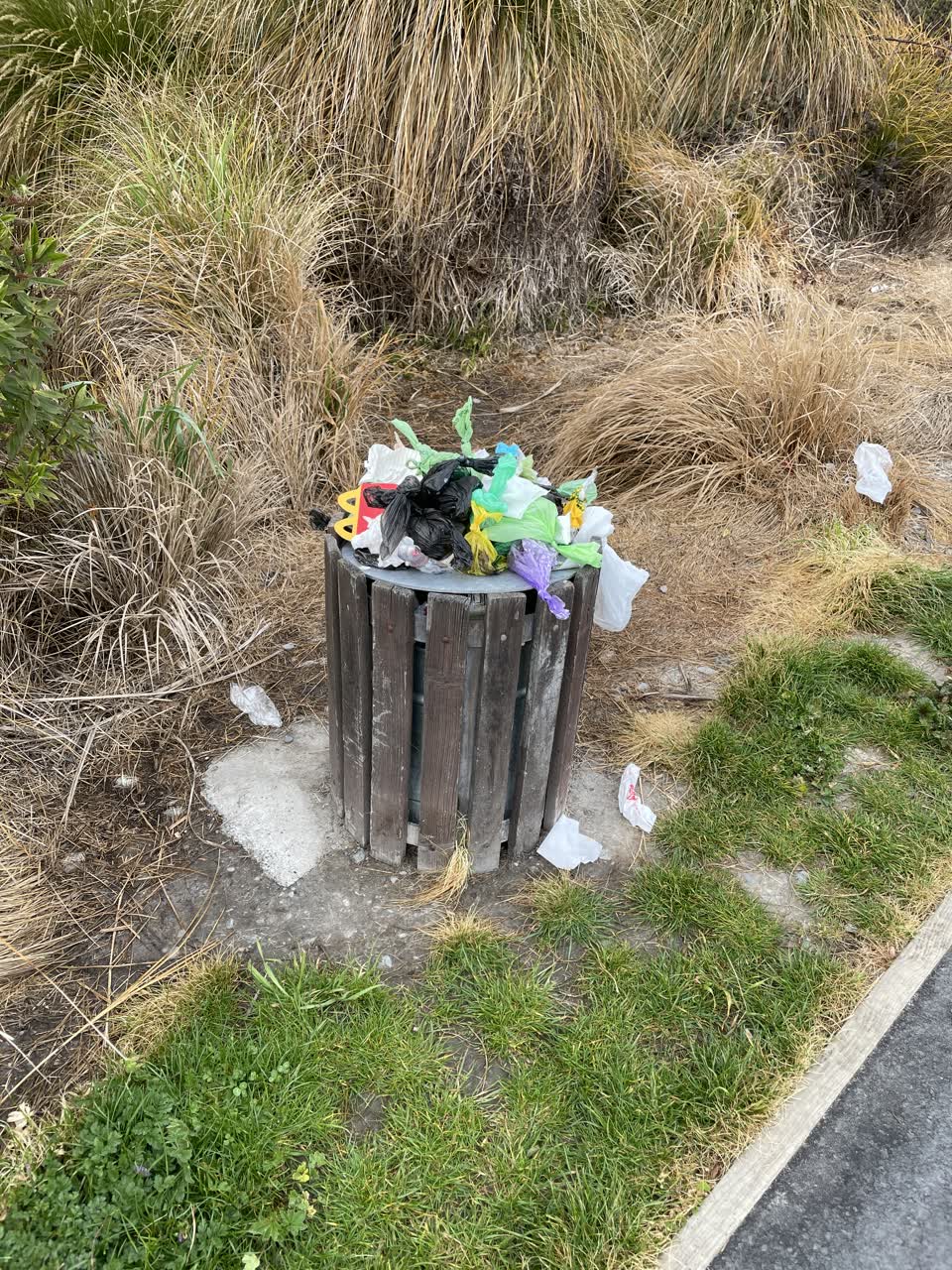 The photograph attached to this parks report