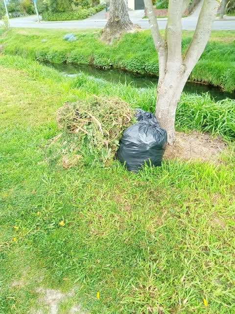 Rubbish/Recycling, a report photo