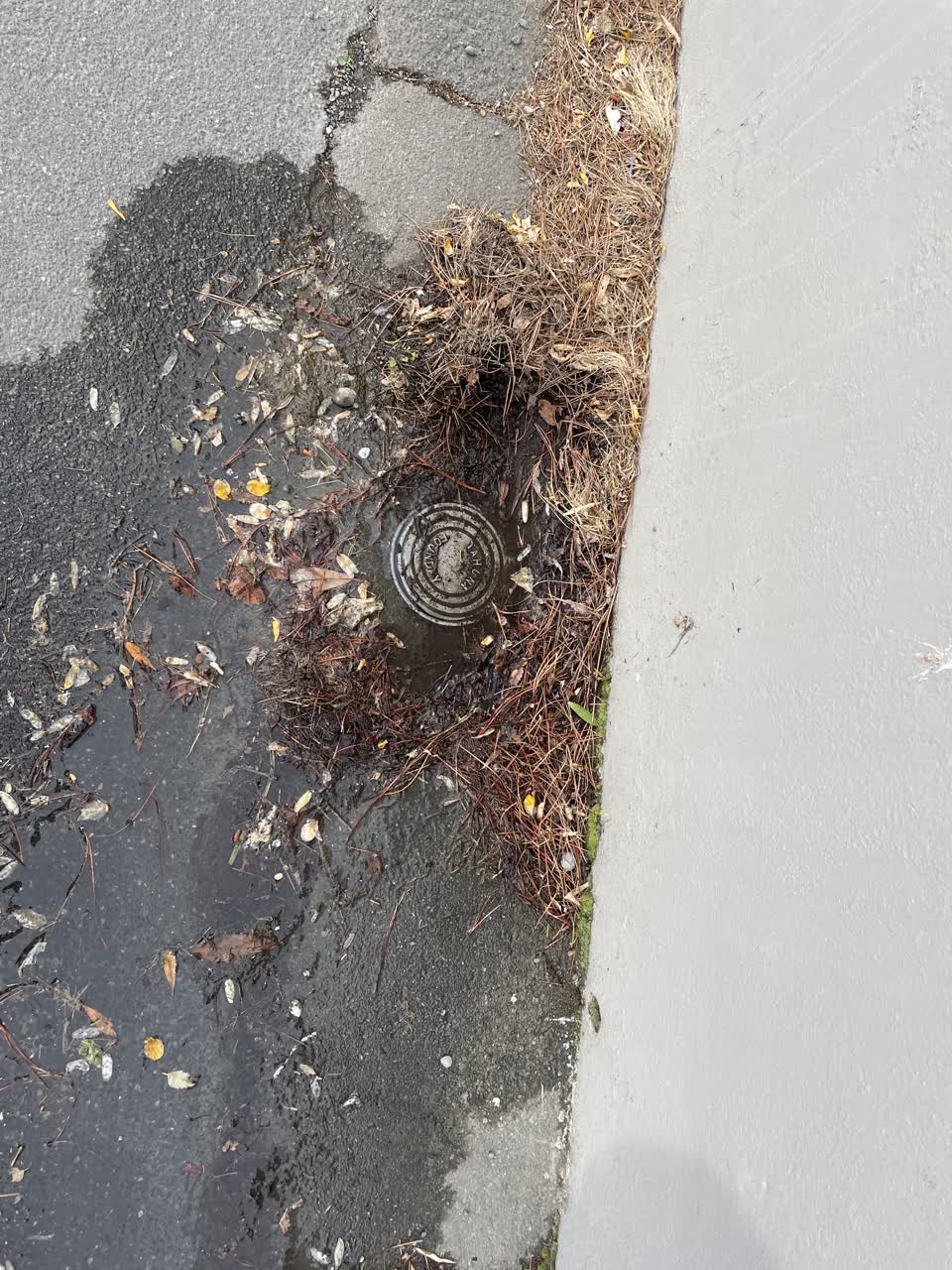 The photograph attached to this water leak report