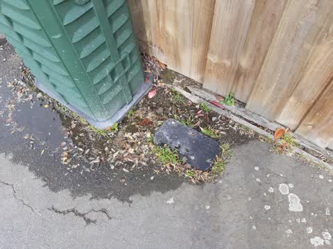 Water Leak, a report photo