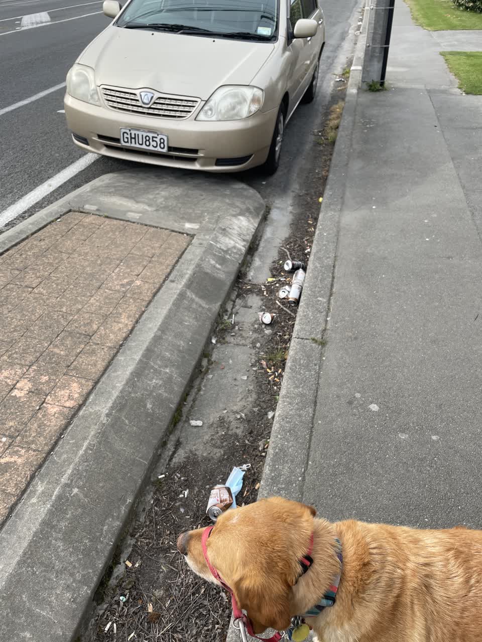 The photograph attached to this rubbish/recycling report