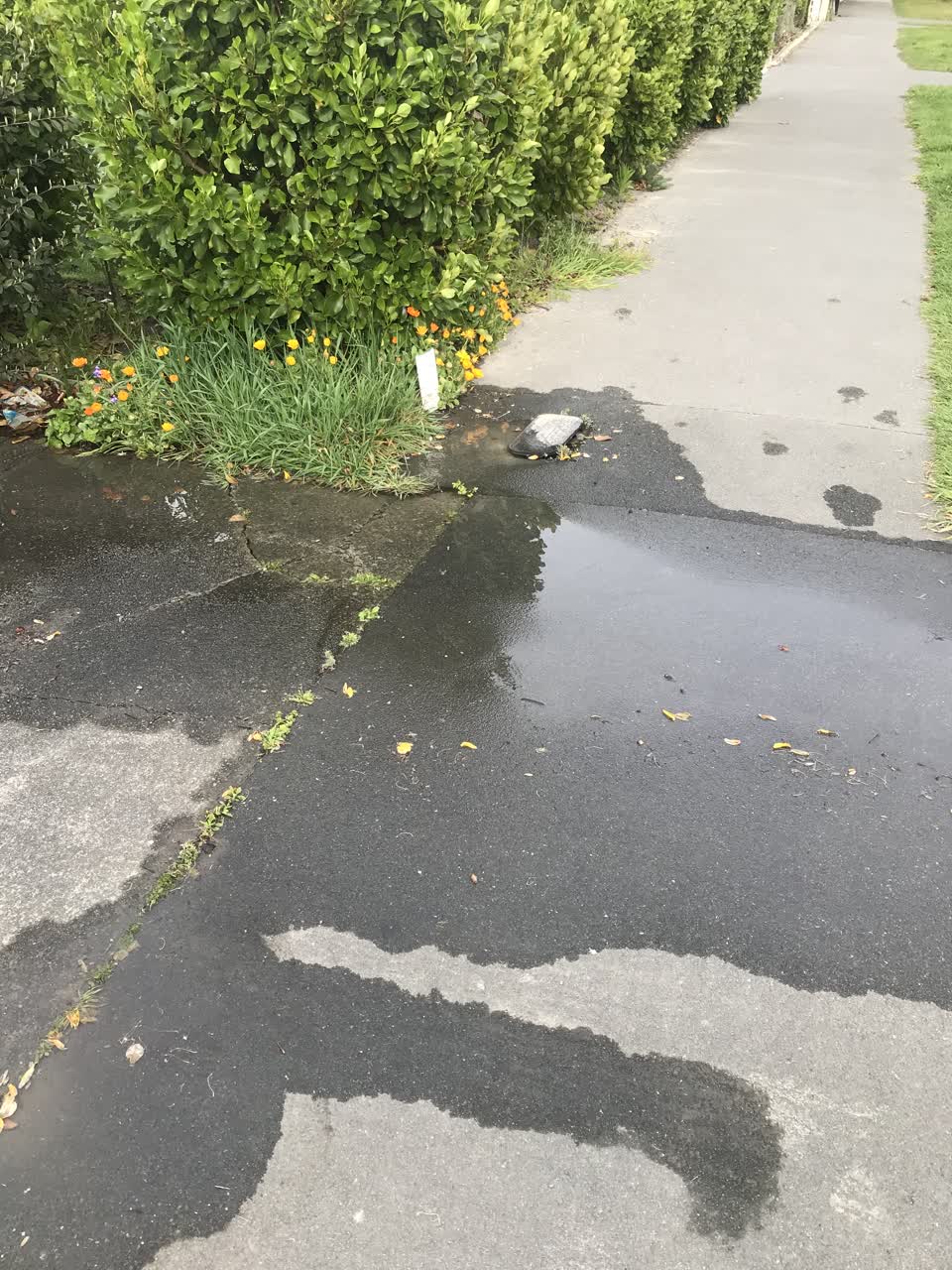 The photograph attached to this water leak report