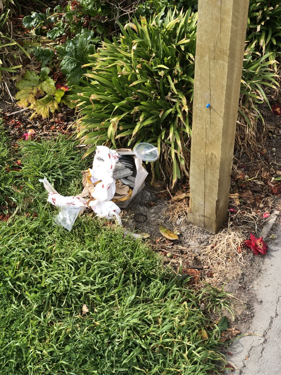 The photograph attached to this parks report