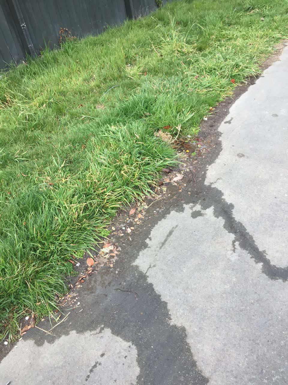 The photograph attached to this water leak report